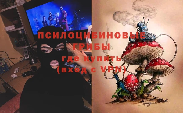 соль ск Бородино