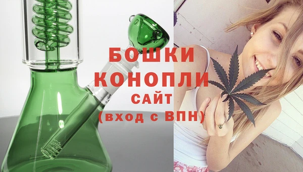соль ск Бронницы