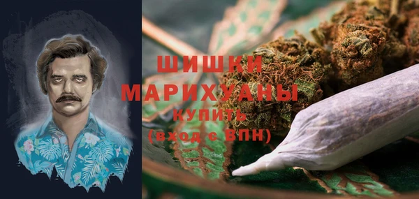 соль ск Бронницы