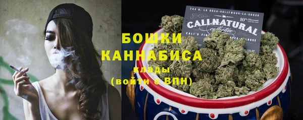 соль ск Бородино